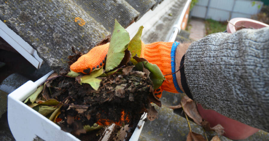 Why Homeowners Must Clean Gutters Regularly